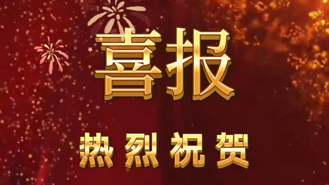 喜報！德森淋洗裝備 入選 2025年河南省生態(tài)環(huán)境保護實用技術名錄